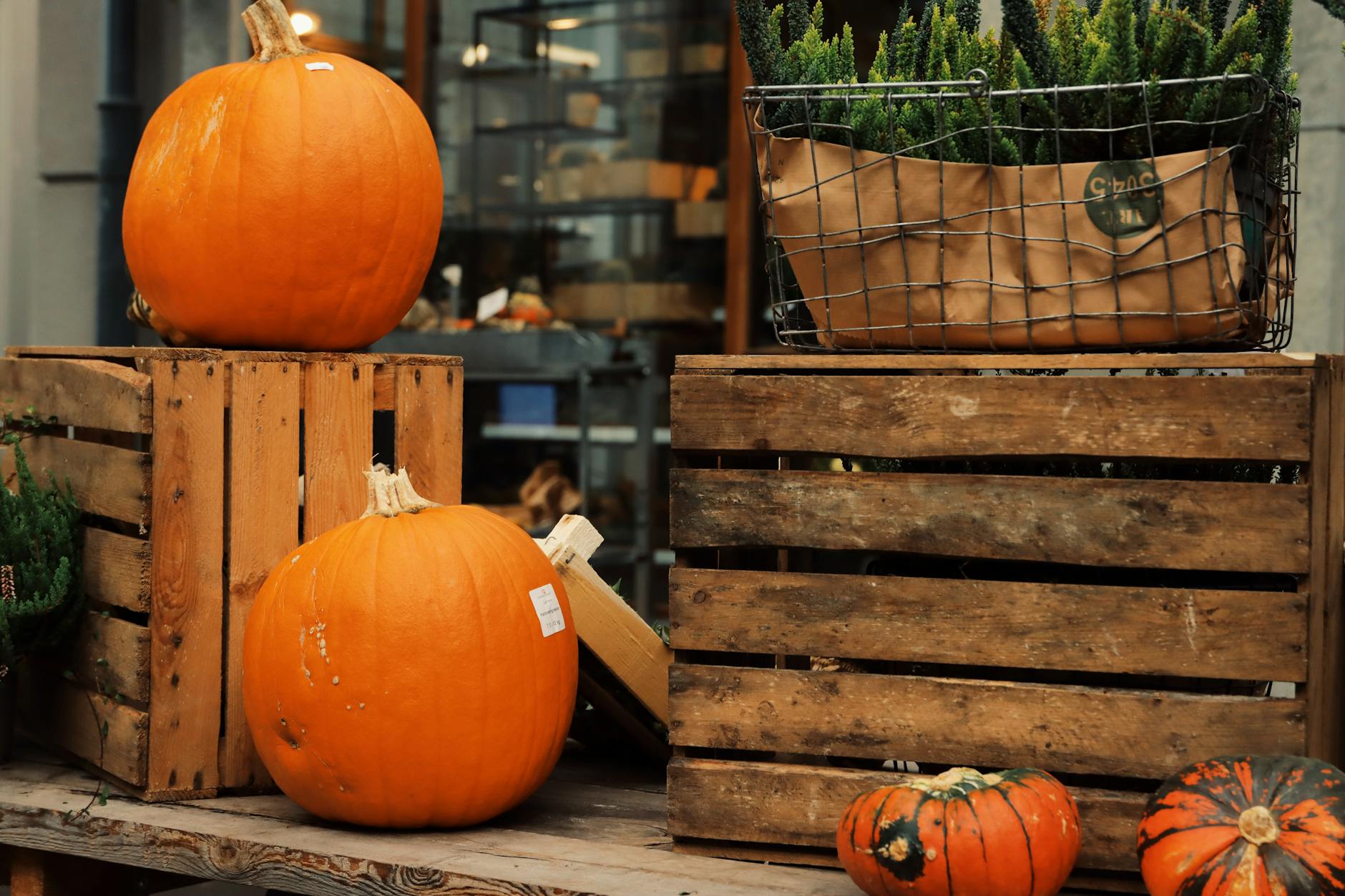 Seasonal Email Marketing: How to Plan Campaigns That Match Customer Intent